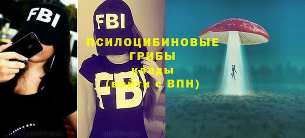 ГАЛЛЮЦИНОГЕННЫЕ ГРИБЫ Армянск