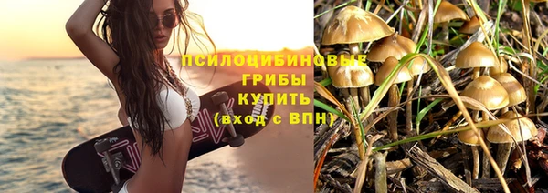 ГАЛЛЮЦИНОГЕННЫЕ ГРИБЫ Армянск