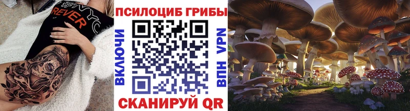 Псилоцибиновые грибы GOLDEN TEACHER  Лагань 
